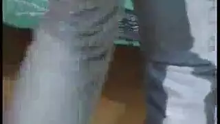 تحب الفتيات الغريبات ارتداء الكعب العالي أثناء امتصاص الديوك ويحصلن على مارس الجنس من الخلف من الخلف تحب الفتيات الغريبات ارتداء الكعب العالي أثناء امتصاص الديوك ويحصلن على مارس الجنس من الخلف من الخلف