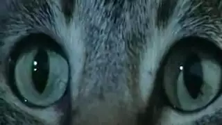 فتاة شقراء الساخنة يعطي اللسان وابتلاع فتاة شقراء الساخنة يعطي اللسان وابتلاع