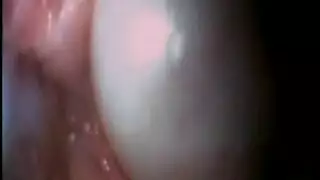 سلوتي جبهة تحرير مورو الإسلامية باللون الأحمر اللاتكس ركوب كرة القدم سلوتي جبهة تحرير مورو الإسلامية باللون الأحمر اللاتكس ركوب كرة القدم