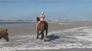 شقراء مذهلة، ميلا رودريغيز يريد أن يكون مارس الجنس داخل الحافلة أثناء الرحلة شقراء مذهلة، ميلا رودريغيز يريد أن يكون مارس الجنس داخل الحافلة أثناء الرحلة