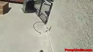 حصلت الفاسقة الحبر في جوارب طويلة على حمولة من نائب الرئيس في جميع أنحاء وجهها الجميل ، بعد انتهاءها حصلت الفاسقة الحبر في جوارب طويلة على حمولة من نائب الرئيس في جميع أنحاء وجهها الجميل ، بعد انتهاءها