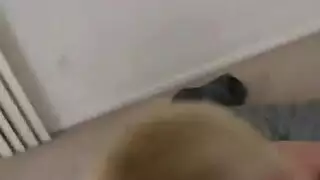 يأخذ شقراء جديدة طلقة اثنين من أباريق ويعود إلى أول تجريب دسار لها يأخذ شقراء جديدة طلقة اثنين من أباريق ويعود إلى أول تجريب دسار لها