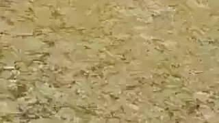 استيقظت لاسي تاون ، وتعرت وبدأت في امتصاص قضيب عشيقها الكبير ، مثل العاهرة استيقظت لاسي تاون ، وتعرت وبدأت في امتصاص قضيب عشيقها الكبير ، مثل العاهرة