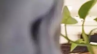 أمي المشاغب لديها شاعر المليون لها عن جدارة بعد لعق العضو التناسلي النسوي لأفضل صديق لها أمي المشاغب لديها شاعر المليون لها عن جدارة بعد لعق العضو التناسلي النسوي لأفضل صديق لها