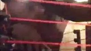 إيلي ليلي يجعل الحب مع سيدة شقي بعد أن عادت إلى المنزل من العمل إيلي ليلي يجعل الحب مع سيدة شقي بعد أن عادت إلى المنزل من العمل