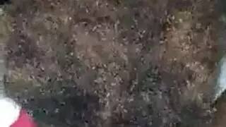 مشى امرأة سمراء مبهجة في منزل جديد وانتهى مارس الجنس من قبل اثنين من الرجال السود قرنية.