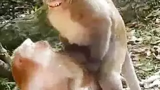 اثنين من الشقراوات المحبة للحيوانية تستمتع مع الشباب في غرفة النوم، طوال اليوم.