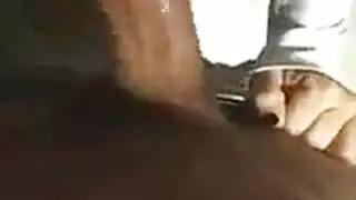 تم تسمير كتي بجسم رائع في مكتبها ، بينما لم يكن رئيسها في المنزل