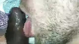 بعد أن امتصت دسار سوداء ضخمة من خلال ثقب المجد ، حصلت الفتاة الجميلة على بوسها الضيق لعق بعد أن امتصت دسار سوداء ضخمة من خلال ثقب المجد ، حصلت الفتاة الجميلة على بوسها الضيق لعق