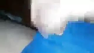اثنين من السيدات قرنية ومدرب صالة الألعاب الرياضية وسيم سخيف مثل مجنون، في صالة الألعاب الرياضية اثنين من السيدات قرنية ومدرب صالة الألعاب الرياضية وسيم سخيف مثل مجنون، في صالة الألعاب الرياضية