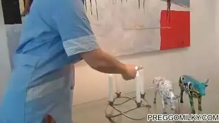 يجب أن أحب الحليب ، الكثير من الحليب. جبهة مورو قرنية يريد مني أن نائب الرئيس من بوف. يجب أن أحب الحليب ، الكثير من الحليب. جبهة مورو قرنية يريد مني أن نائب الرئيس من بوف.