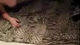 بدلا من الذهاب إلى المدرسة لإنهاء دروسها ، شقراء جميلة نزل وقذرة مع الحجرة لها بدلا من الذهاب إلى المدرسة لإنهاء دروسها ، شقراء جميلة نزل وقذرة مع الحجرة لها