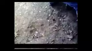 تنتشر الطبيعة السرية لمقاطع الفيديو مع الرجال الإندونيسيين والفتيات الجميلات على الشاطئ القذر تنتشر الطبيعة السرية لمقاطع الفيديو مع الرجال الإندونيسيين والفتيات الجميلات على الشاطئ القذر