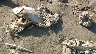 شقراء مثيرة مع حلمات مثقوبة ، لولا فاي على وشك ممارسة الجنس مع لص شقراء مثيرة مع حلمات مثقوبة ، لولا فاي على وشك ممارسة الجنس مع لص