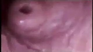حليب الزب الساخن في الكس بعد نيك جميل و ساخن مع كس مبلول من الشهوة حليب الزب الساخن في الكس بعد نيك جميل و ساخن مع كس مبلول من الشهوة