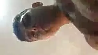 الفتيات هم موظفون شخصيون جيبيكس أنيق للحوزة وغالبا ما يذهبون إلى رئيسهم للعمل بجد الفتيات هم موظفون شخصيون جيبيكس أنيق للحوزة وغالبا ما يذهبون إلى رئيسهم للعمل بجد