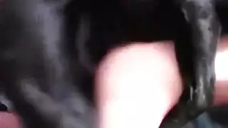 أجمل جنس فتاة حلوة ، فتاة حلوة ، في المواقف الصعبة ، كلب الجنس والفتاة أجمل جنس فتاة حلوة ، فتاة حلوة ، في المواقف الصعبة ، كلب الجنس والفتاة