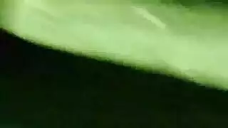 حصان ينيك بنت هامستر حصان ينيك بنت هامستر