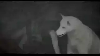 إن صفارات الإنذار الحلوة في جوارب بيضاء تحصل على جرعتها اليومية من اللعنة من والدها