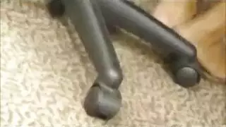 صنم القدم أحمر الشعر اسمه ميا روز يمارس الجنس مع عشيق. صنم القدم أحمر الشعر اسمه ميا روز يمارس الجنس مع عشيق.